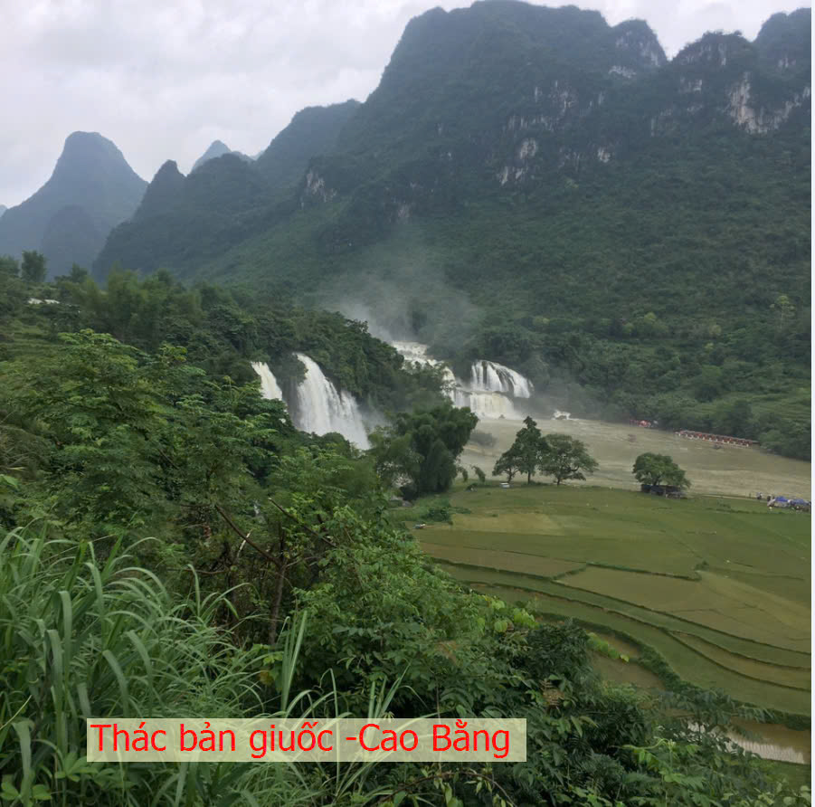 Kiểm định chất lượng nước đầu ra: Bước không thể thiếu